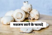मशरूम खाने के फायदे | Benefits Of Mushroom मशरूम खाने के फायदे | Benefits Of Mushroom