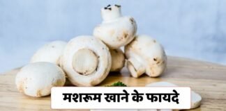 मशरूम खाने के फायदे | Benefits Of Mushroom