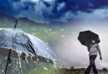 Health Tips : मानसून की बरसात में कैसे रहें स्वस्थ ! इन बातों का रखें ध्यान मानसून की बरसात में कैसे रहें स्वस्थ