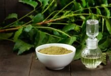 नीम तेल के अद्भुत लाभ : स्वास्थ्य से लेकर सौंदर्य तक, जबरदस्त फायदे नीम के तेल के अद्भुत लाभ : स्वास्थ्य से लेकर सौंदर्य तक, जानें जबरदस्त फायदे